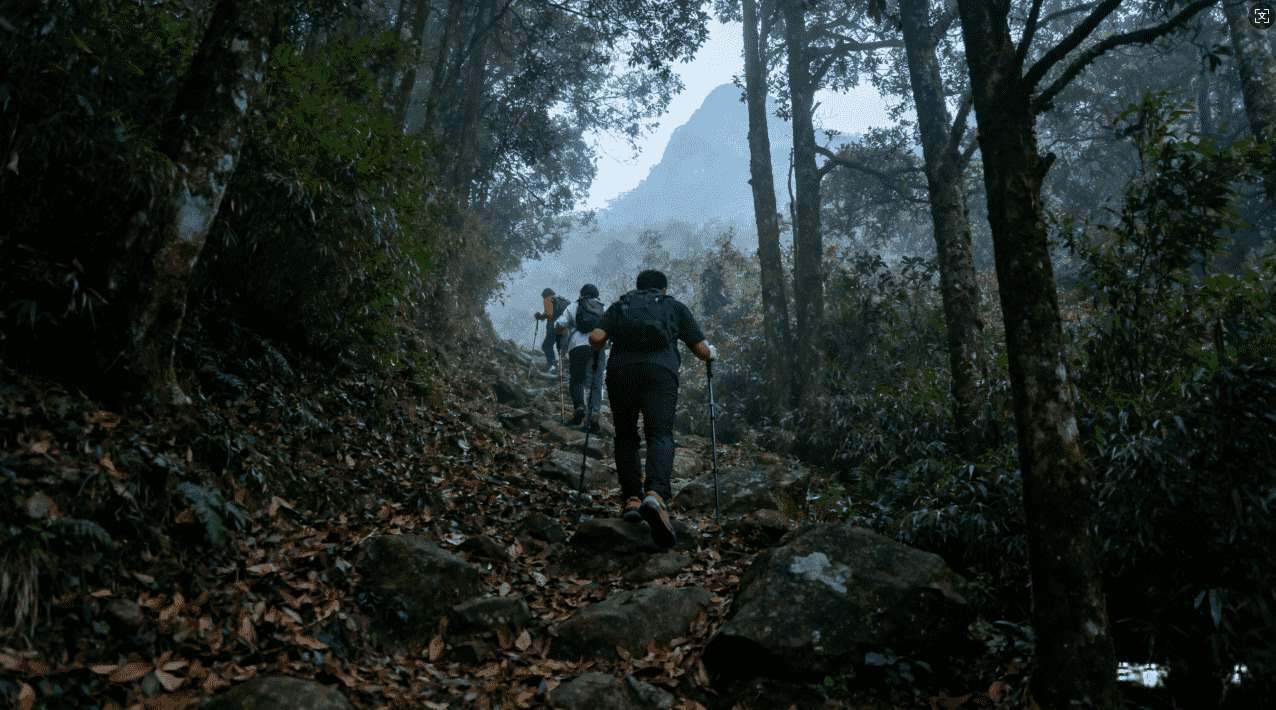 泡芙加速器梯子详细使用教程与安全设置指南